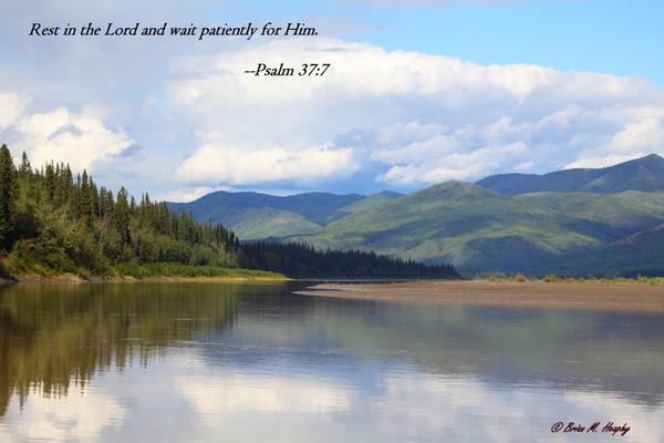 "Mid-summer Daydream" - Scripture-versed Metal Print
