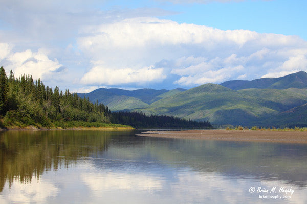 "Mid-summer Daydream" - Metal Print