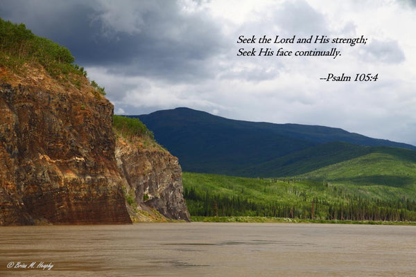 "Two Of A Kind" - Scripture-versed Premium Luster Print