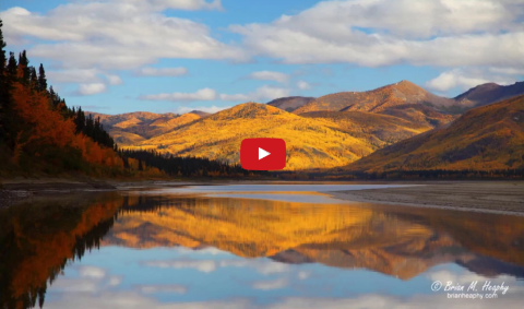 “ACOUSTIC ALASKA”—Ear & Eye Ecstasy Delivered.