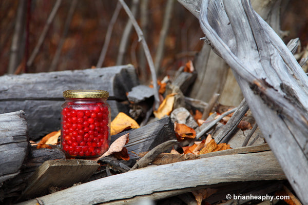 "Rubies" - Matted and Framed Luster Print