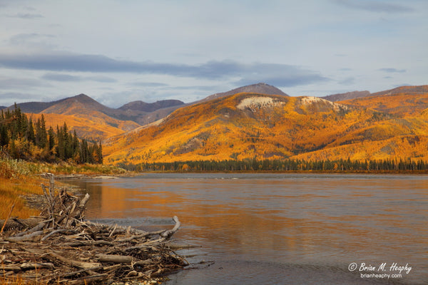 "Silver & Gold" - Matted and Framed Luster Print