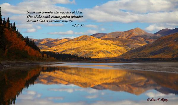 "Yukon Gold" - Scripture-versed Matted and Framed Luster Print